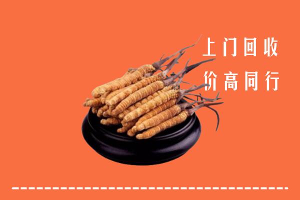 高价求购：安龙县回收散虫草