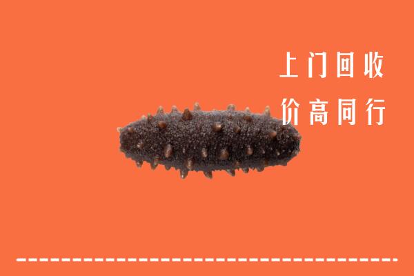 高价求购：安龙县回收海参