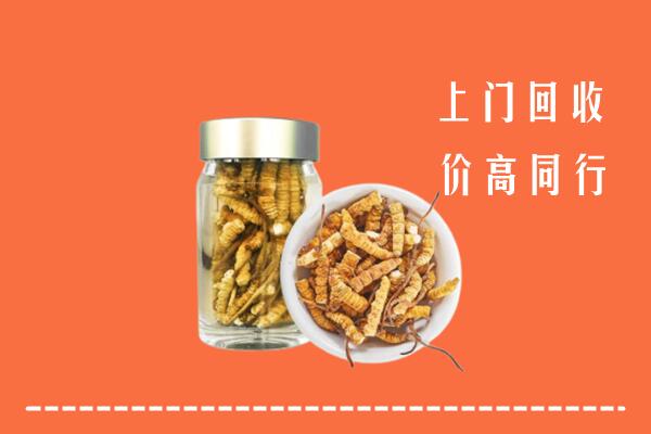 安龙县回收冬虫夏草