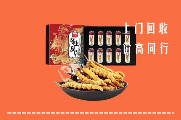 安龙县回收虫草